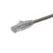 Axiom Axiom 2Ft Cat6 Cable W/Boot (Gray) C6MB-G2-AX - alternate 1
